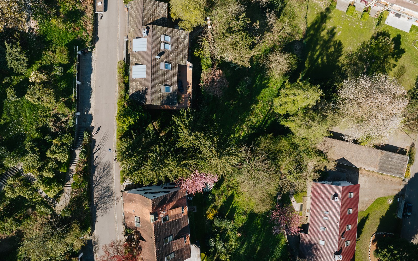 Sonniges Baugrundstück in ruhiger Ortsrandlage – Bild 1