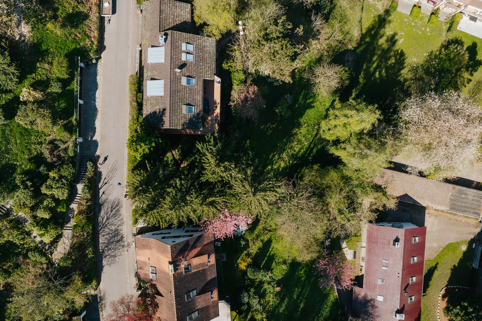 Sonniges Baugrundstück in ruhiger Ortsrandlage – Bild 2